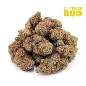 Wagyu OG (AAA) Buy Wagyu OG (AAA) online Canada