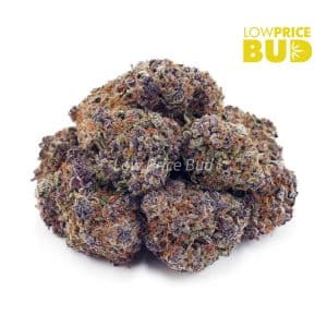 33 Splitter (Craft Cannabis) Buy 33 Splitter (Craft Cannabis) online Canada