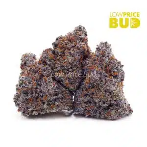 Buy Oranges and Cream (Craft Cannabis) online Canada