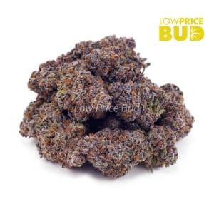 Oranges and Cream (Craft Cannabis) Buy Oranges and Cream (Craft Cannabis) online Canada