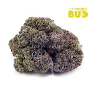 Mike Tyson (Craft Cannabis) Buy Mike Tyson (Craft Cannabis) online Canada