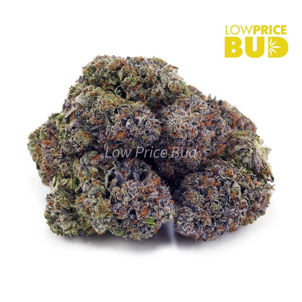 Mike Tyson (Craft Cannabis) Buy Mike Tyson (Craft Cannabis) online Canada