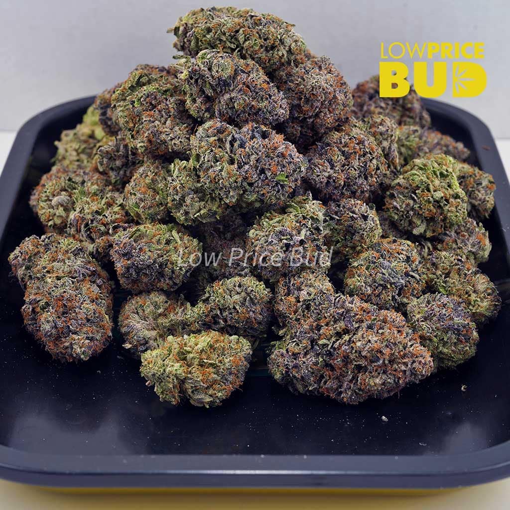 Mike Tyson (Craft Cannabis) Buy Mike Tyson (Craft Cannabis) online Canada