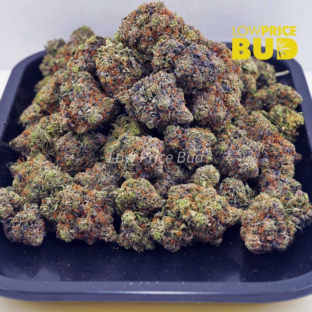 Pink Gas Mask (Craft Cannabis) Buy Pink Gas Mask (Craft Cannabis) online Canada