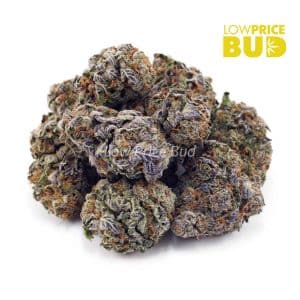 Island Kush (AA) Buy Island Kush (AA) online Canada