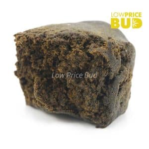 Hash – Charizard Buy Hash – Charizard online Canada