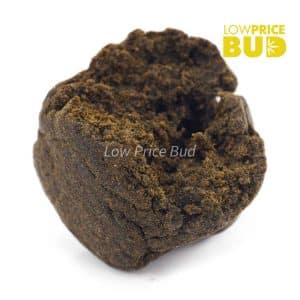 Hash – Root Beer Buy Hash – Root Beer online Canada