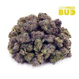 Buy Build Your Own (AAAA) Popcorn Half Pound online Canada