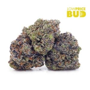 Buy Dank Kush Breath (Craft Cannabis) online Canada
