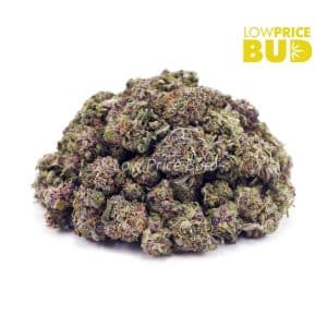 Buy Astro Pink (AAAA) – Popcorn Nugs online Canada