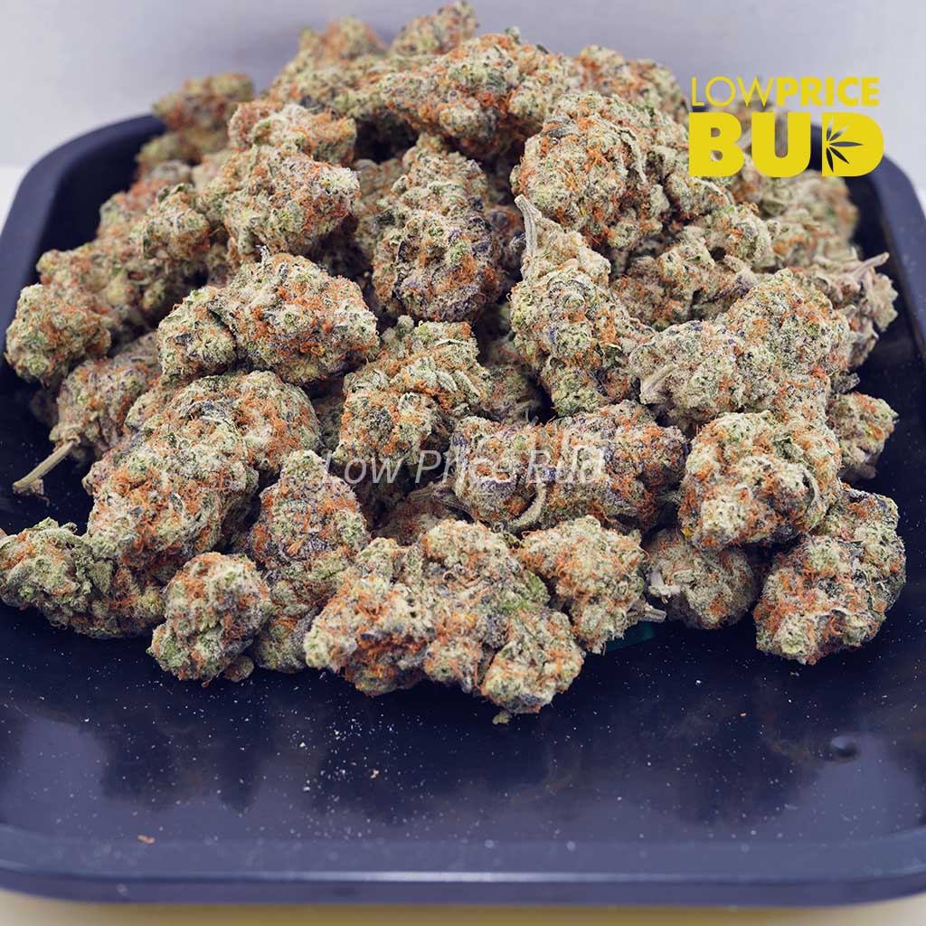 White Tahoe OG (AAA) Buy White Tahoe OG (AAA) online Canada