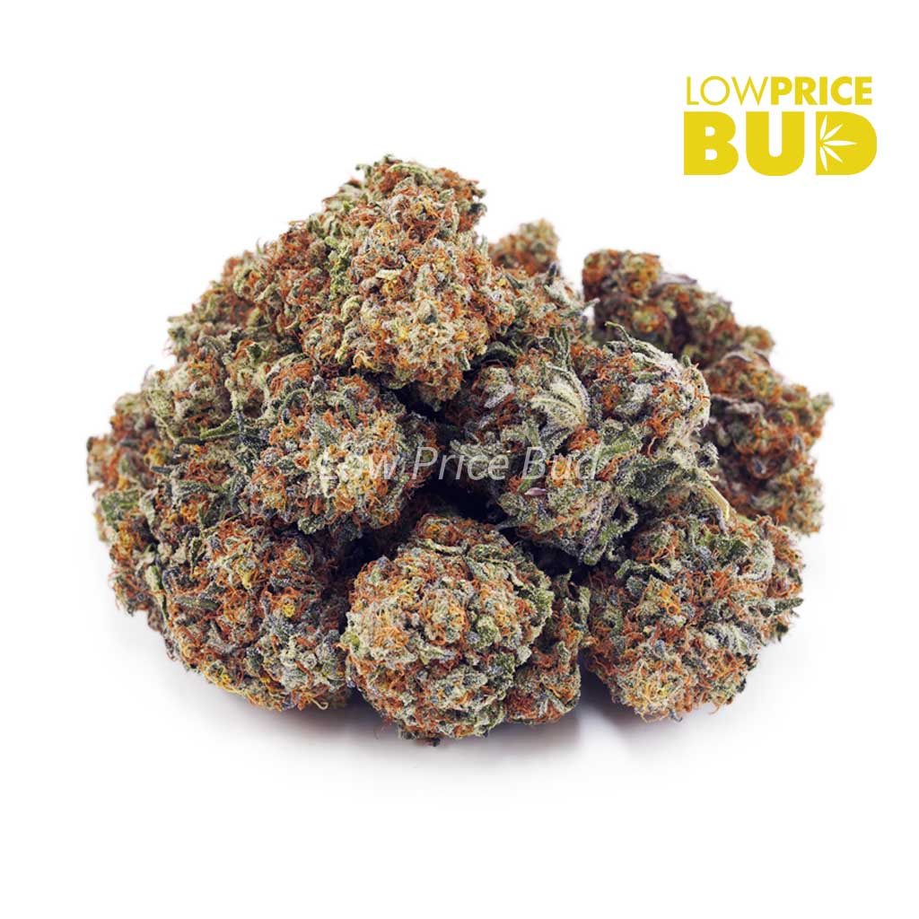 Amnesia Haze (AA) Buy Amnesia Haze (AA) online Canada