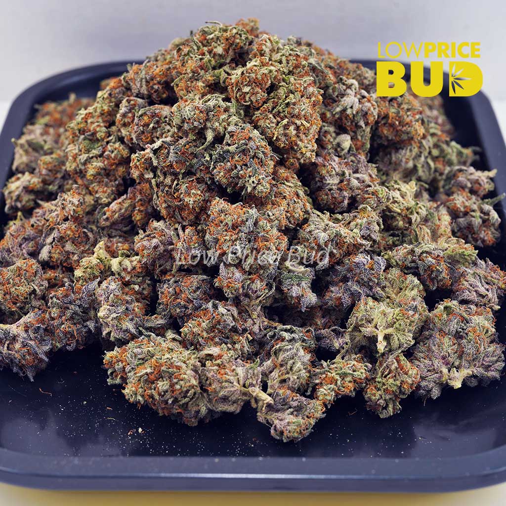 Amnesia Haze (AA) Buy Amnesia Haze (AA) online Canada