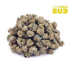 Buy Forum Cut Cookies (AAAA) – Popcorn Nugs online Canada