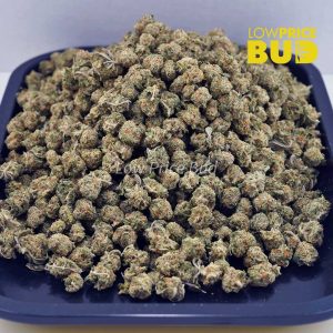 Buy Forum Cut Cookies (AAAA) – Popcorn Nugs online Canada