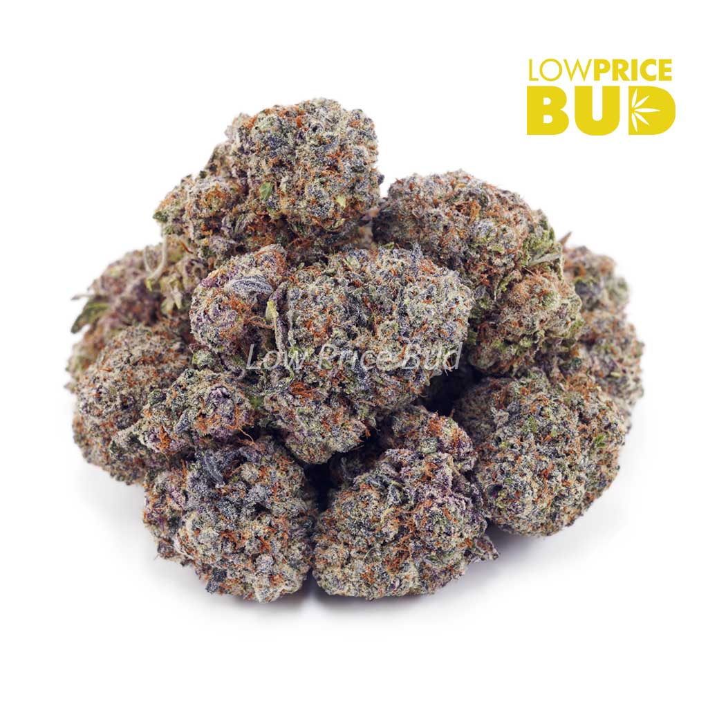 Snoop Dog OG (AAA) Buy Snoop Dog OG (AAA) online Canada