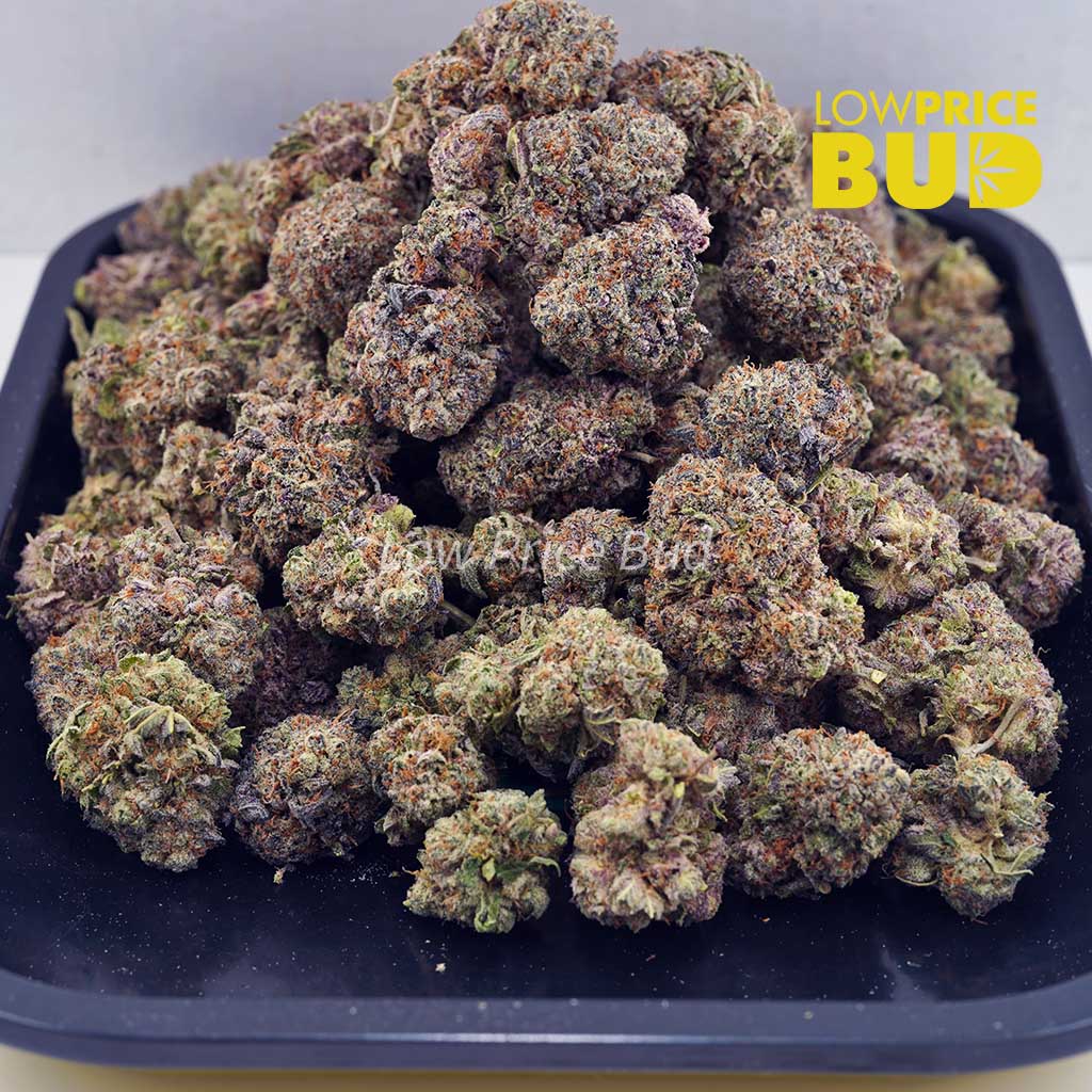 Snoop Dog OG (AAA) Buy Snoop Dog OG (AAA) online Canada