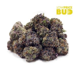 High Octane (AAAA) Buy High Octane (AAAA) online Canada