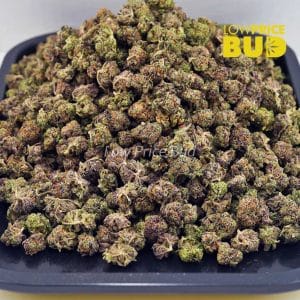 Shiva Skunk (AAAA) – Popcorn Nugs Buy Shiva Skunk (AAAA) – Popcorn Nugs online Canada