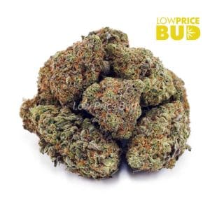 Cotton Candy Kush (AAAA) Buy Cotton Candy Kush (AAAA) online Canada