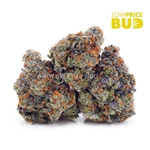 Passionfruit Gelato (AA) Buy Passionfruit Gelato (AA) online Canada