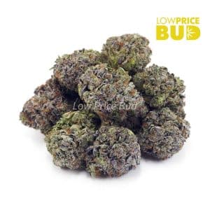 Island Pink Kush (Craft Cannabis) Buy Island Pink Kush (Craft Cannabis) online Canada