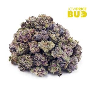 Buy Build Your Own (AAAA) Popcorn Half Pound online Canada