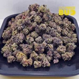 Orange Creamsicle (AAAA) – Popcorn Nugs Buy Orange Creamsicle (AAAA) – Popcorn Nugs online Canada