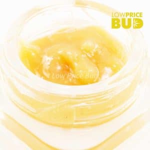 Live Resin – OG Octane Buy Live Resin – OG Octane online Canada