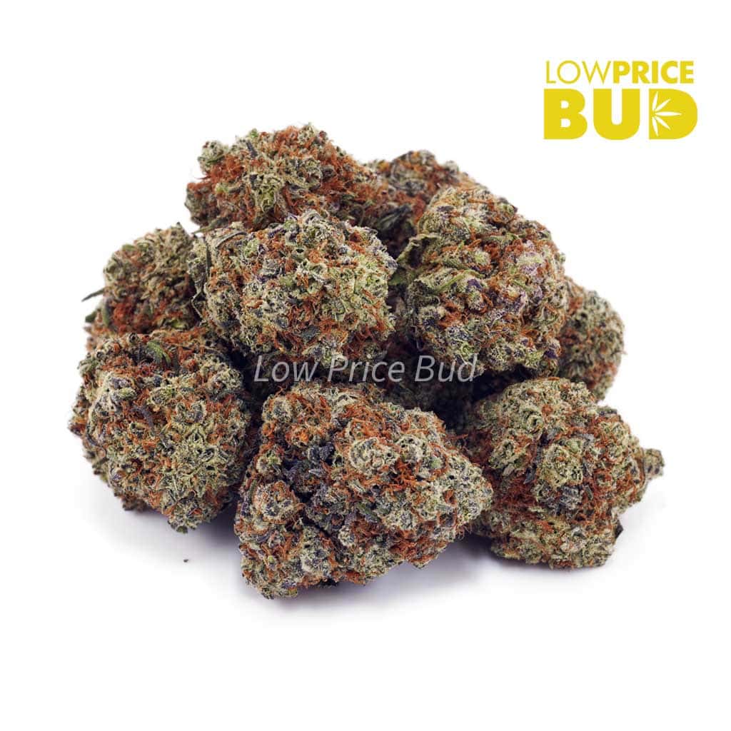 Island Maui Kush (AAA) Buy Island Maui Kush (AAA) online Canada