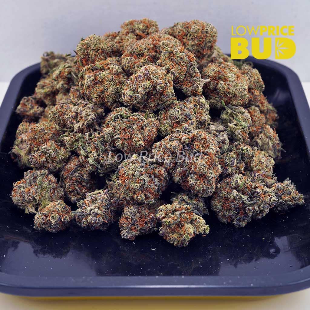 Island Maui Kush (AAA) Buy Island Maui Kush (AAA) online Canada