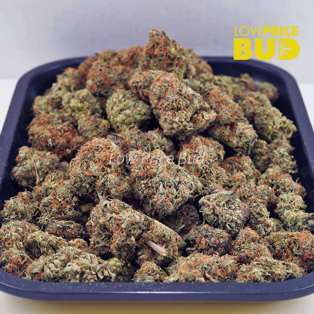 Columbian Gold (AA) Buy Columbian Gold (AA) online Canada