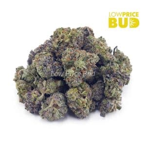 Buy Build Your Own (AAAA) Popcorn Pound 4 x 112g online Canada