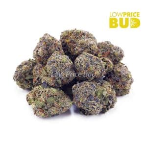 Rockstar (AAA) Buy Rockstar (AAA) online Canada