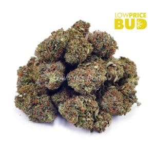 Chemdawg (AA) Buy Chemdawg (AA) online Canada