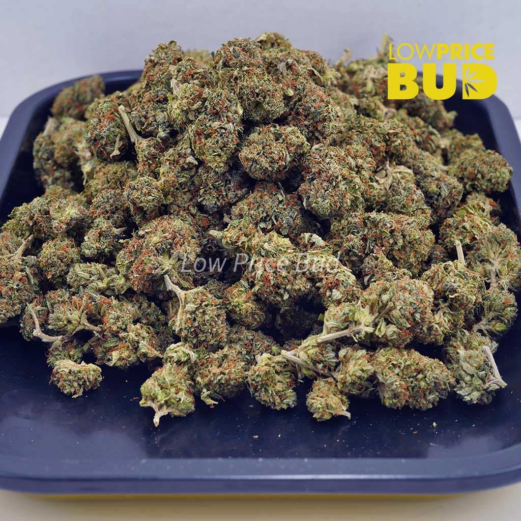 Chemdawg (AA) Buy Chemdawg (AA) online Canada