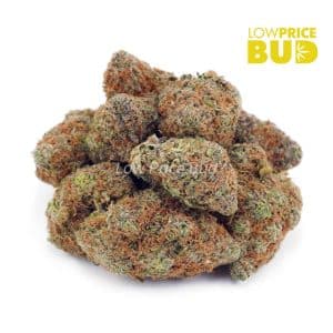 Rainbow Kush (AA) Buy Rainbow Kush (AA) online Canada
