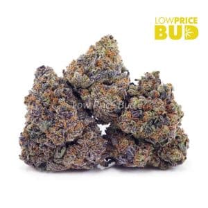 Buy Blue Dream (AAA) online Canada