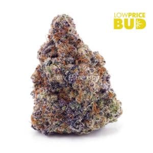 Buy Miracle Alien Cookies (Craft Cannabis) online Canada