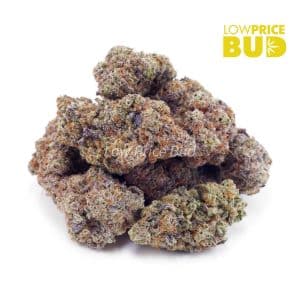 Buy Miracle Alien Cookies (Craft Cannabis) online Canada