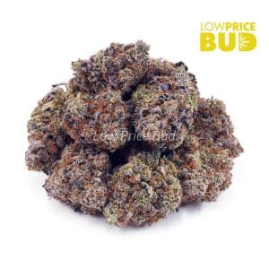 Buy Alaskan Thunder Fuck (AAA) online Canada