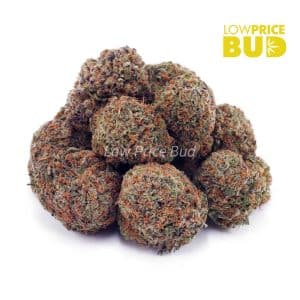 Buy Afghan Kush (AA) online Canada