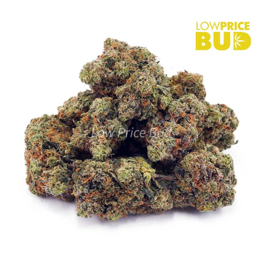Death Pink (AAAA) Buy Death Pink (AAAA) online Canada