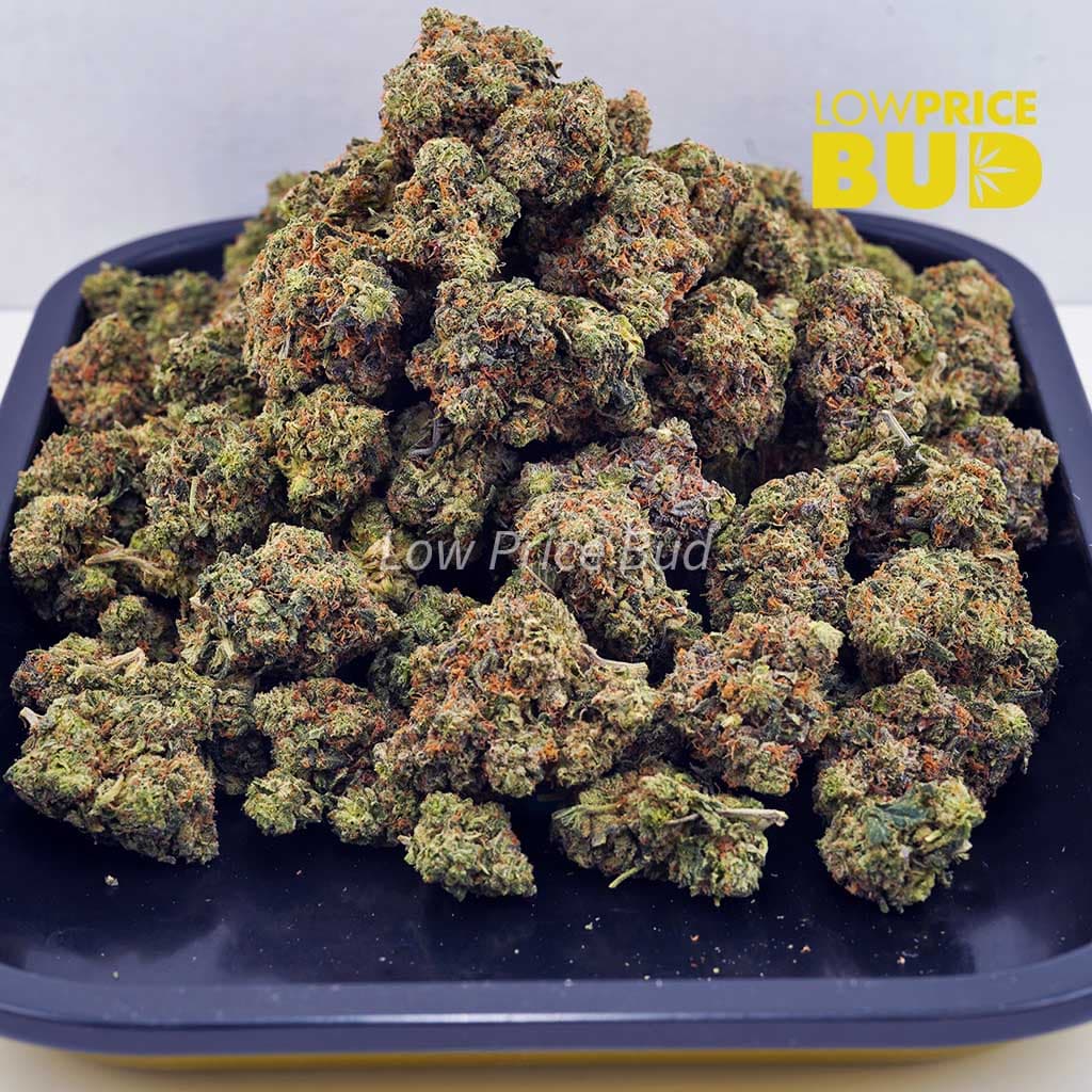 Death Pink (AAAA) Buy Death Pink (AAAA) online Canada