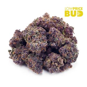 Buy Tangerine Dream (AAA) online Canada