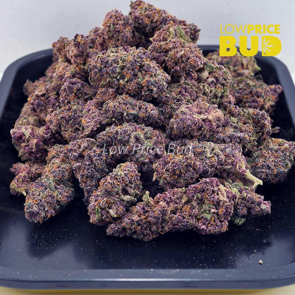 Tangerine Dream (AAA) Buy Tangerine Dream (AAA) online Canada