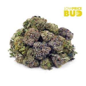 Bubba Kush (AAA) Buy Bubba Kush (AAA) online Canada