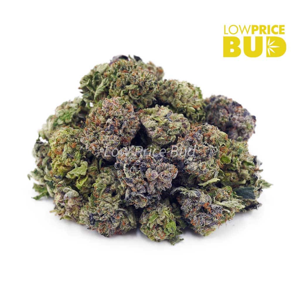 Bubba Kush (AAA) Buy Bubba Kush (AAA) online Canada