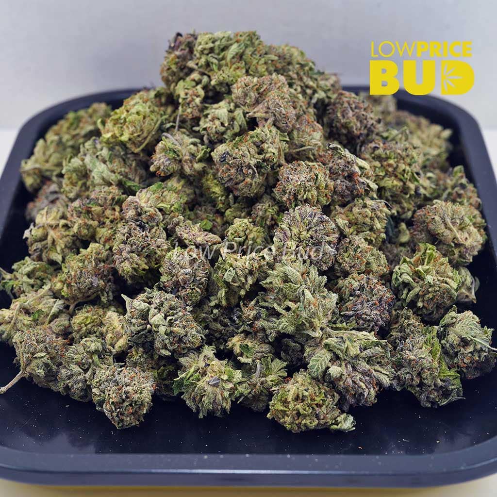 Bubba Kush (AAA) Buy Bubba Kush (AAA) online Canada