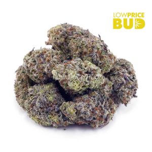 Supreme Blueberry Cheesecake (Craft Cannabis) Buy Supreme Blueberry Cheesecake (Craft Cannabis) online Canada